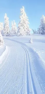 Serene snowy road through winter forest, bathed in light blue sky.