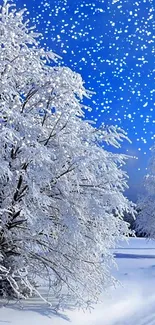 Snow-covered tree with blue sky background, perfect for winter wallpaper.