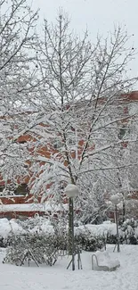 Snow-covered trees in a peaceful urban winter scene with a brick building.