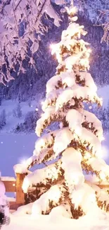 Snowy tree with lights and winter landscape in background.