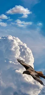 Bird soaring over fluffy clouds in a blue sky.