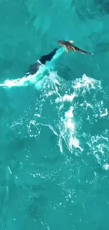 Bird soaring over a vibrant turquoise ocean with splashing waves.