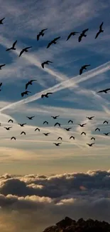 Birds flying over a sunset with clouds and sky trails.