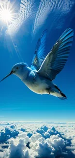 Bluebird soaring in a sunny sky above clouds.