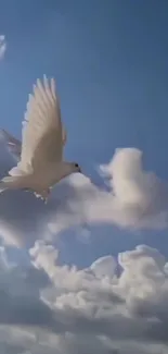 A white dove gracefully flying in a blue sky surrounded by clouds.