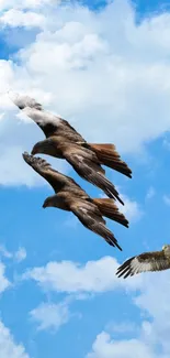 Three eagles flying against a bright blue sky with scattered clouds.