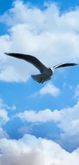 Seagull flying in a bright blue sky with fluffy white clouds.