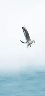 A seagull soaring over a calm ocean beneath a soft blue sky.