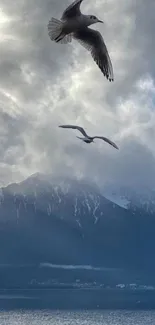 Seagulls flying over mountain landscape under a dramatic cloudy sky.