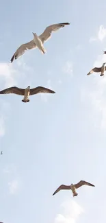 Seagulls flying across a pale blue sky with scattered clouds.