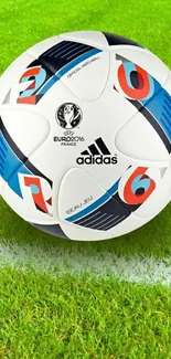 Soccer ball on green grass, Euro 2016 design.