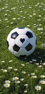 A soccer ball with a heart print in a field of daisies.