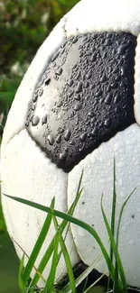 Soccer ball in dewy grass mobile wallpaper.