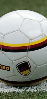 Soccer ball resting on green field grass.