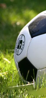 A black and white soccer ball on a vibrant green grass field.