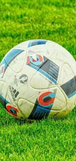 Soccer ball resting on green grass in sunlight.