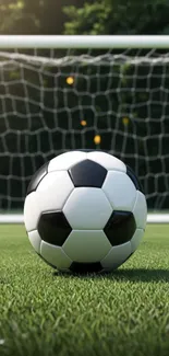 Soccer ball on green grass field with goal in background.