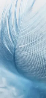 Close-up of a delicate blue feather, soft and calming.