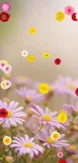 Soft pink daisies with a pastel background, perfect for a serene mobile wallpaper.