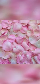 Mobile wallpaper with soft pink flower petals.