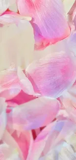 Soft pink petals create a calming aesthetic for mobile wallpaper.