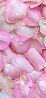 Soft pink petals creating a serene and elegant mobile wallpaper design.