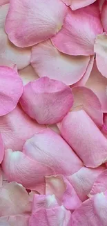 Delicate pink rose petals create a soft, floral phone wallpaper.