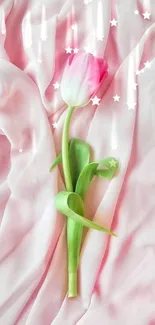 Pink tulip on soft pastel pink fabric mobile wallpaper.