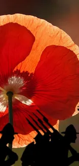 Wallpaper with red poppy and soldier silhouettes on mobile.