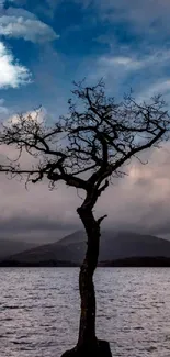 Lonely tree standing against a blue sky and serene lake.