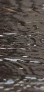 Close-up of raindrops creating ripples on a water surface wallpaper.