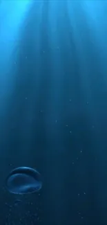 Serene underwater mobile wallpaper with tranquil blue tones.