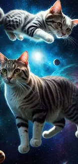 Two cats float in a colorful cosmic space scene with planets.