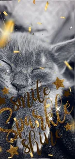 Cat with gold sparkle and inspirational quote on a cozy wallpaper background.