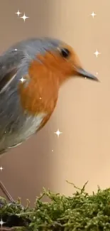 Vibrant bird perched on sparkling moss with a soft focus background.