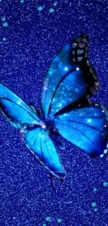 Sparkling blue butterfly on glittery blue background.