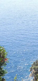 Ocean view with blue water and green cliffs in sunlight.