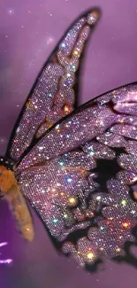 A sparkling butterfly on a vibrant purple flower.