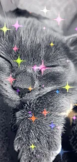 Sleeping cat with colorful sparkling stars in a dreamy wallpaper.