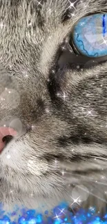 Close-up of a cosmic cat with sparkling fur and blue eyes, perfect for phone wallpaper.