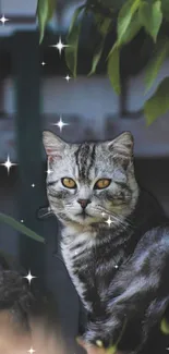 Gray cat with yellow eyes under sparkling stars in a natural garden setting.