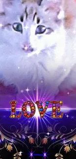 Fluffy cat with sparkling love message on purple background.