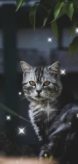 Gray cat with stars in a lush nighttime setting.