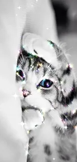 Cute cat with sparkling effects on wallpaper