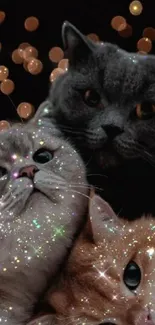 Three adorable cats with sparkling bokeh lights.