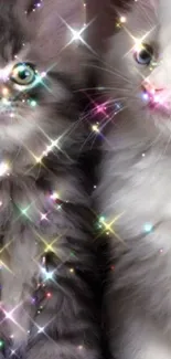 Sparkling kittens mobile wallpaper with dazzling eyes and glittery effects.