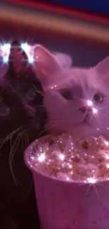 Two cats with sparkling effects enjoying popcorn.