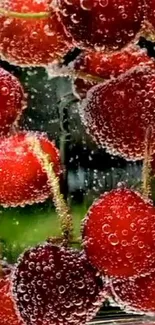 Vibrant red cherries with bubbles against a lively background.