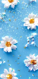 Sparkling white daisies on a blue background mobile wallpaper.