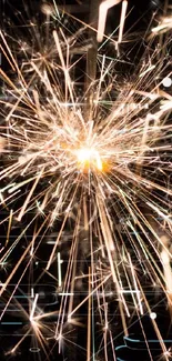 Dynamic fireworks sparkle against a black background.